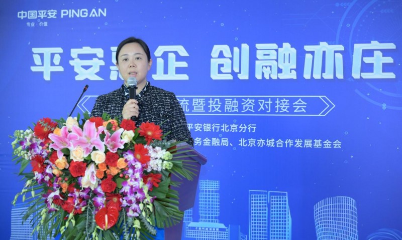 平安银行北京分行成功举办“平安惠企·创融亦庄”普惠金融交流暨投融资对接会(图3)