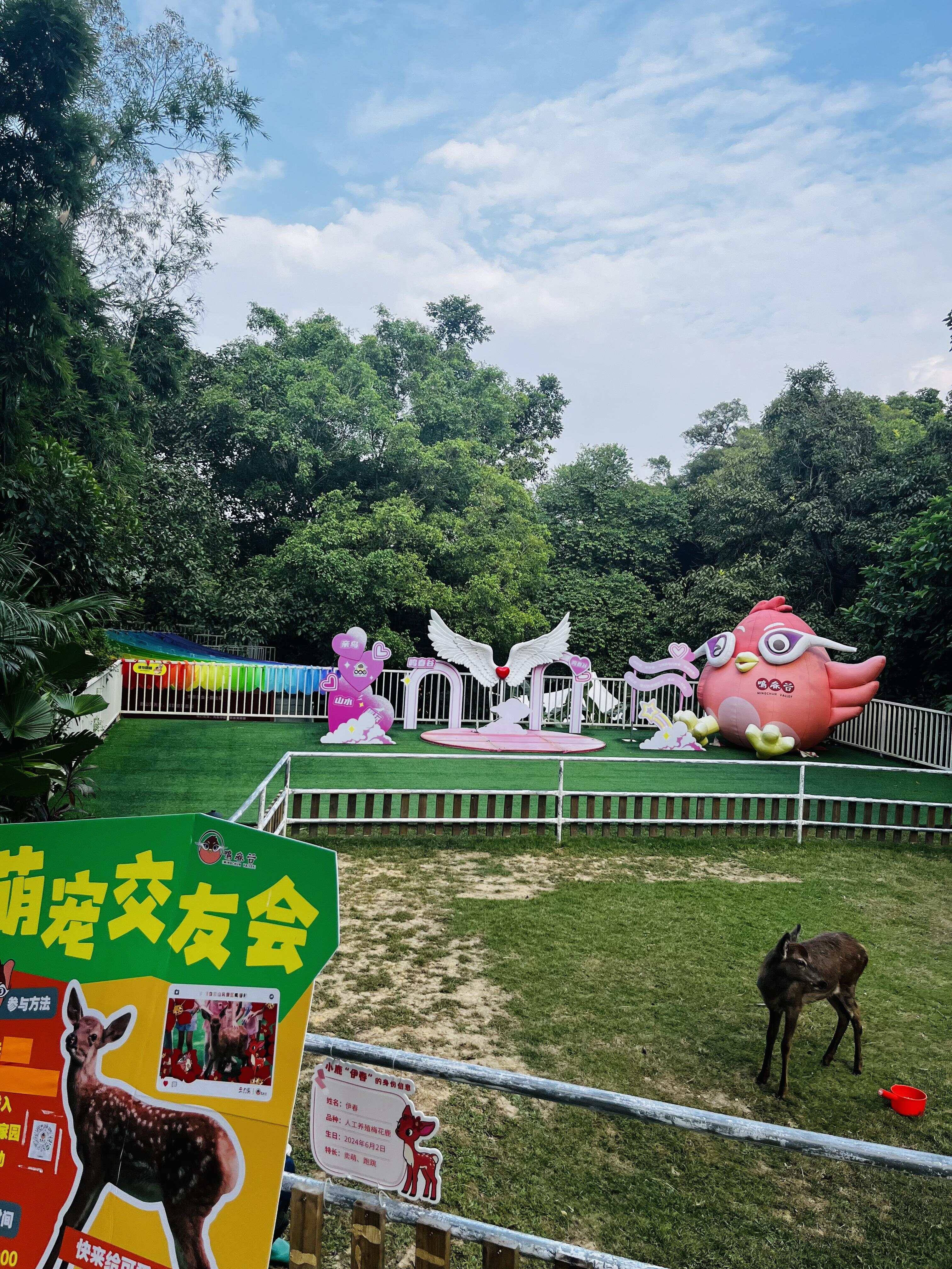 【视频】全国第一！旅行社奏出“广东最强音” 广东文旅春来早②(图4)
