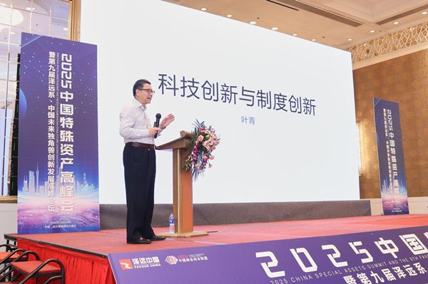 2025中国特殊资产高峰会暨第九届未来独角兽创新发展论坛圆满举办(图5)