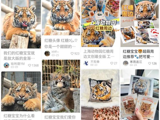 有多少海洋公园被鱼吃垮了？(图7)