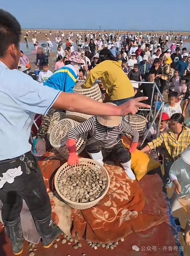 大象早报丨阵风7级！气温猛跌10℃+；河南多家景区发布公告；中国跳水队世界杯总决赛首日包揽五金(图1)