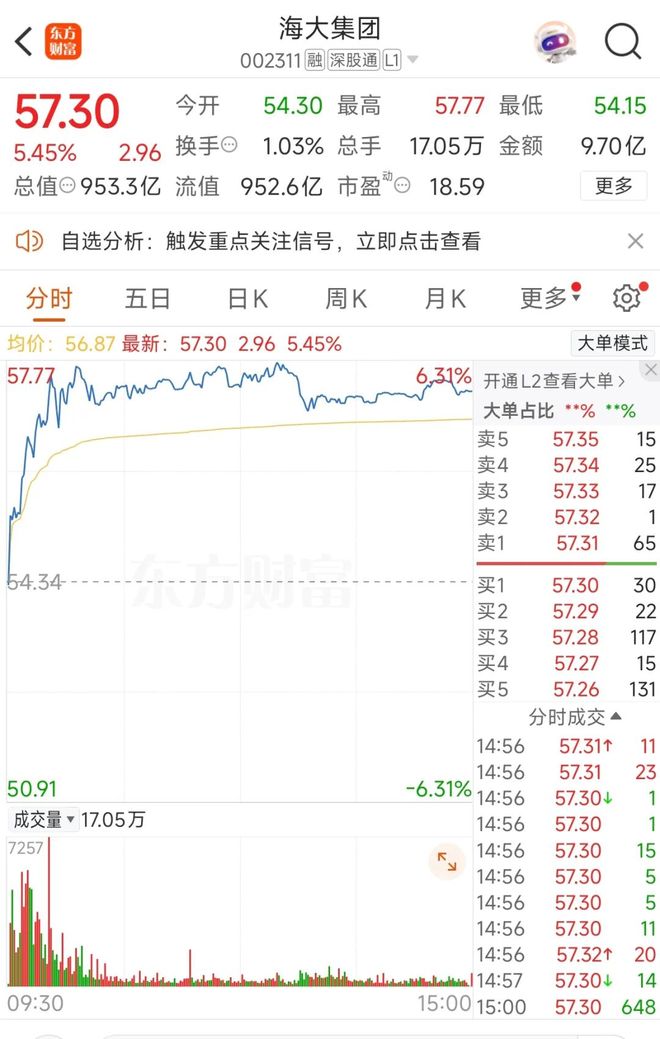 海大股票大涨！多家知名机构调研薛华率领高管团队解读5150万吨战略(图1)
