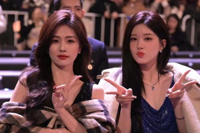 央视怒批目不识丁、洋相百出难怪两会上冯远征建议演员多学习(图2)